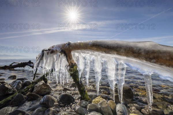 Icicles on a branch above stones under a clear, sunny sky, harbour, Gohren, Lake Constance, Baden-Württemberg, Germany, Europe