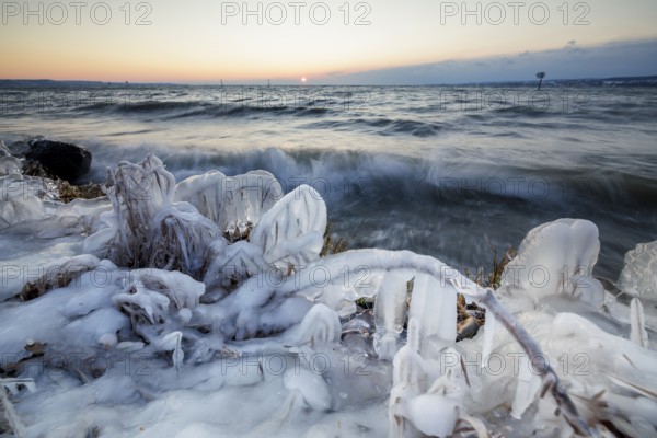 Ice-covered shore at sunrise with moving water and warm light, Hörnle, Constance, Lake Constance, Baden-Württemberg, Germany, Europe