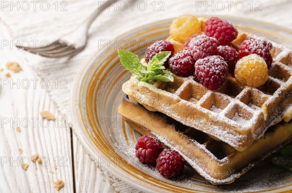Belgian waffles served with raspberries and mint leaf dusted with powdered sugar on white wooden kitchen table