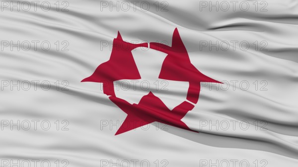 Closeup Oita Japan Prefecture Flag, Waving in the Wind, High Resolution