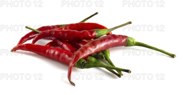 Chili peppers isolated on white background