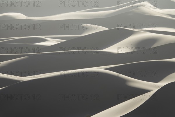 Background with beautiful structures of sandy dunes at sunrise in the Sahara desert