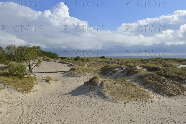 Sandhammaren is a Swedish coastal strip on the Baltic Sea. It is the southeasternmost point of the Swedish Baltic Sea coast. Sandhammaren nature reserve. Sandhammaren is a Swedish coastline of the Baltic Sea. He is the most south-eastern point of the Swedish coast.nature reserve Sandhammaren