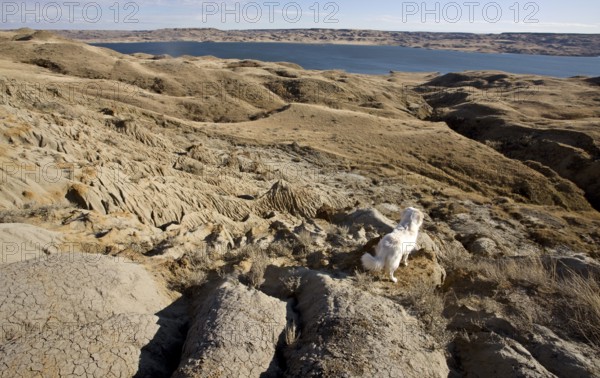 Sand Castles of Diefenbaker Lake Saskatchewan Badlands