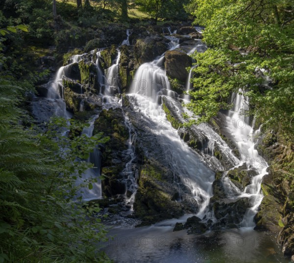 A view of the Swallow Falls waterfall in Anglesey in northern Wales surrounded by lush green summer vegetation