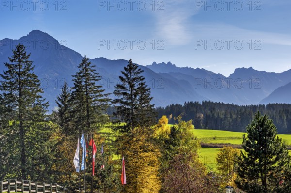 Green meadows, Allgäu Alps and mixed forest with colourful flags near Ofterschwang, Allgäu, Bavaria, Germany, Europe