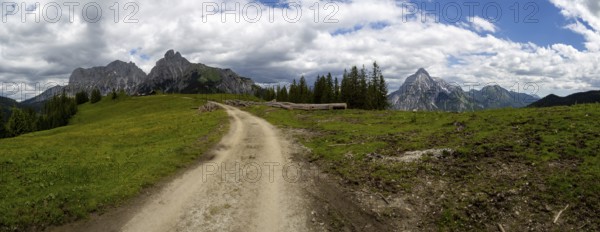 Forest path to Mödlinger Hütte, behind Admonter Kaibling, Admonter Reichenstein, mountain peak in the Admonter-Reichenstein group, panoramic view, Gesäuse National Park, Styria, Austria, Europe