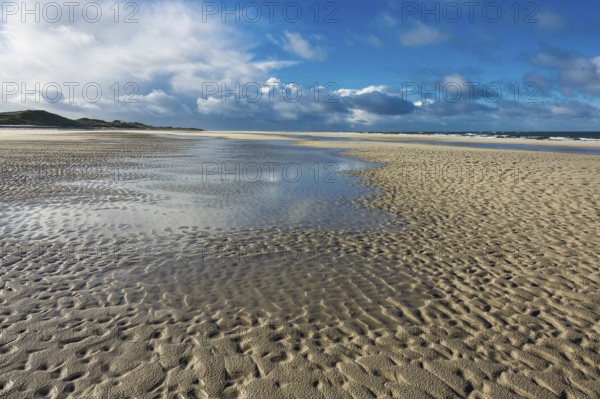 Beach on the North Sea coast on the island of Amrum