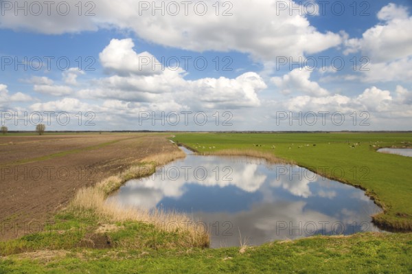 Typical Dutch landscape with lake and clouds in the polder