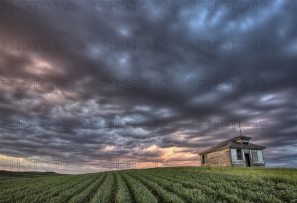 Sunset and durum wheat crop storm clouds