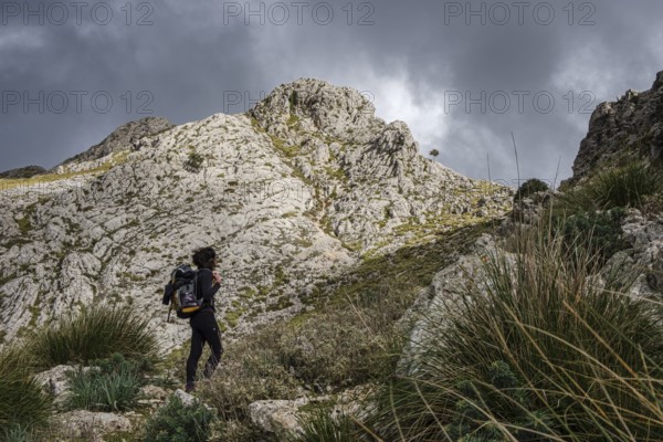 Ascending to Serra Des Teixos, Escorca, Majorca, Balearic Islands, Spain, Europe
