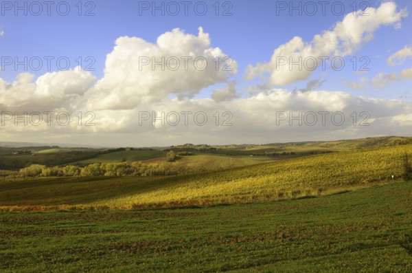 A beautiful tuscan landscape with autumnal colours