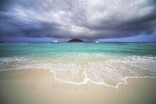 Tropical rain. Gale on the tropical island
