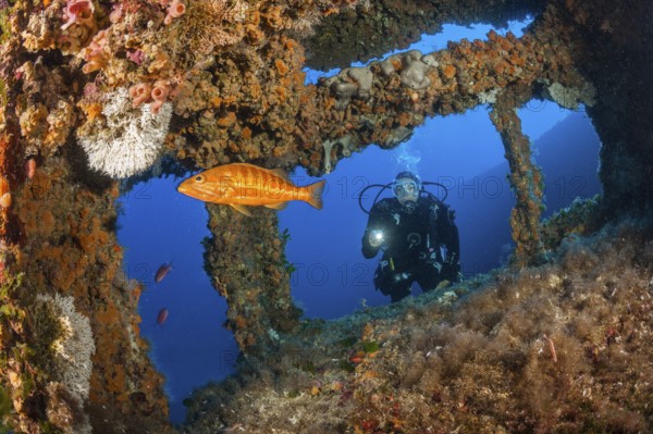 Scuba Diver at Vassilios Wreck, Vis Island, Mediterranean Sea, Croatia | Scuba Diver at Vassilios Wreck, Vis Island, Mediterranean Sea, Croatia, Europe