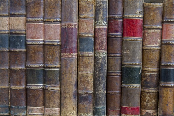 Antiquarian bookshop on the shelf