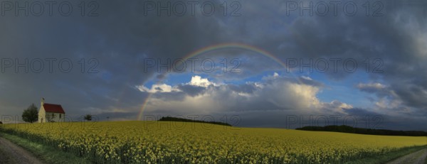 Panorama, chapel and rainbow over a rapeseed field