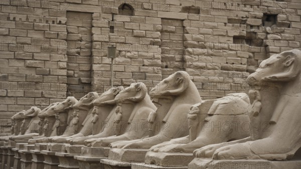 Avenue of ram-headed sphinxes. The Karnak Temple Complex, Luxor, Upper Egypt. UNESCO World Heritage Site