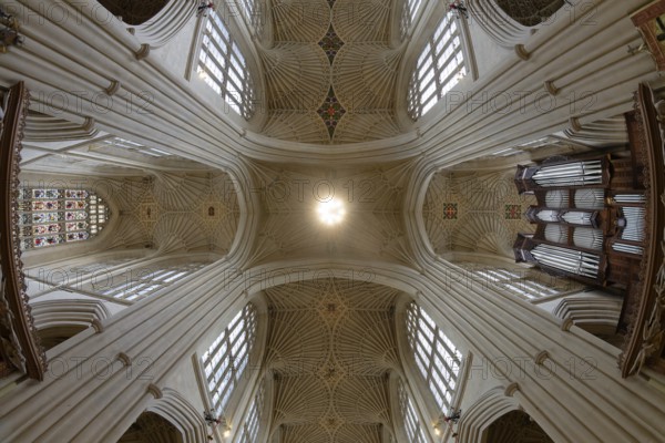 Fisheye, interior view, ceiling, Bath Abbey, Bath, England, Great Britain