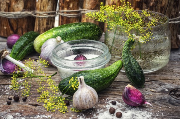 Cucumber pickled with dill and garlic on wooden table.Photo tinted