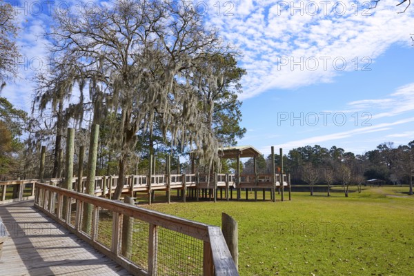 Tomball Burroughs park in Houston Texas with mossy oaks