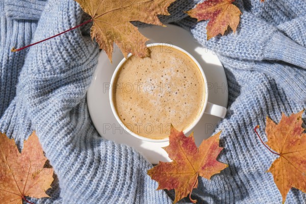 White cup of morning warming coffee on blue knitted sweater with maple yellow leaves background. Cozy home concept. Aesthetics blog lifestyle. Autumn Still life. Cappuccino or latte hot drink. Atmosphere