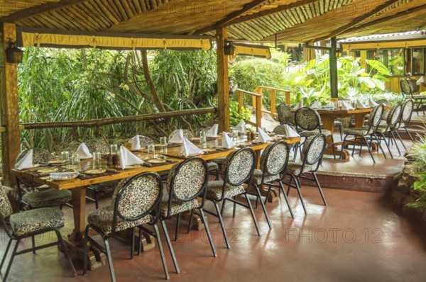 Table set on a jungle-colored terrace in a tropical environment in a restaurant in Nairobi, Kenya, Africa
