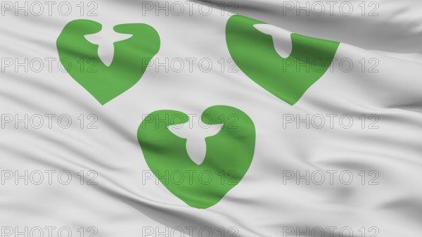 Wavre City Flag, Country Belgium, Closeup View
