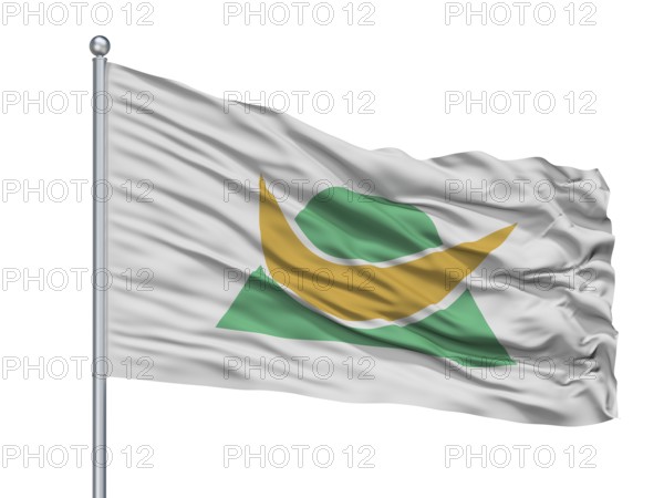 Shinshiro City Flag On Flagpole, Country Japan, Aichi Prefecture, Isolated On White Background