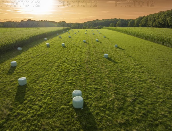 Wrapped hay bales in a meadow with a nice sunset
