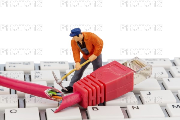 Worker, network plug, keyboard, symbol photo for Internet, malfunction, maintenance, problem solving Austria