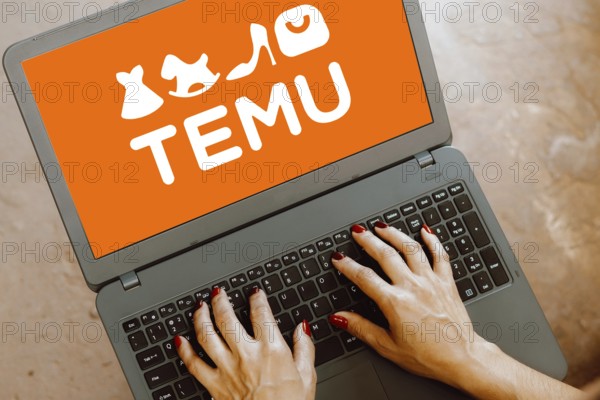 In this photo illustration, the Temu logo is displayed on a laptop screen