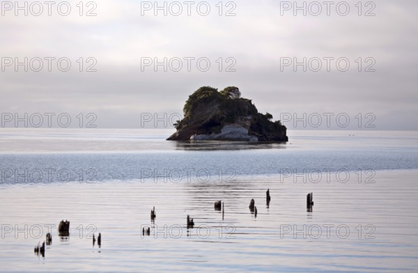 Cook Strait Collingwood New Zealand Ocean Island