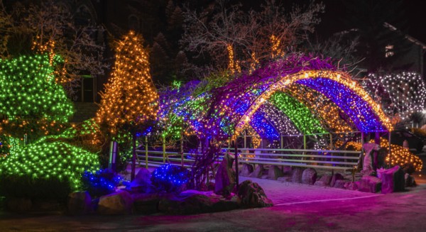 Taebeck, South Korea. January 29, 2019: Colorful Christmas lights on trees and on metal awning over park bench