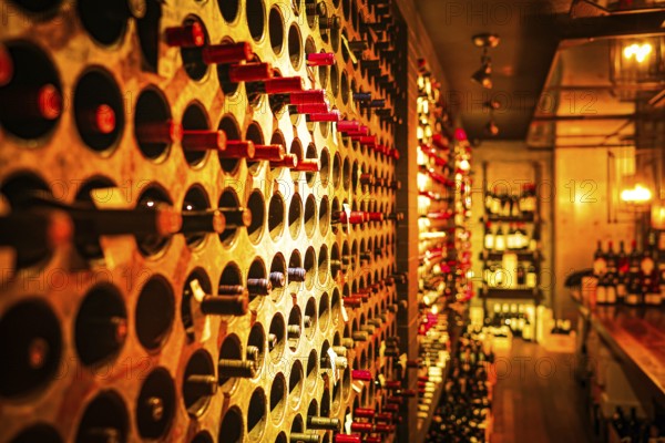 Dark wine shelf. Shooting Location: Toronto