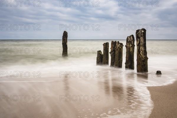 Groynes on the coast of the Baltic Sea