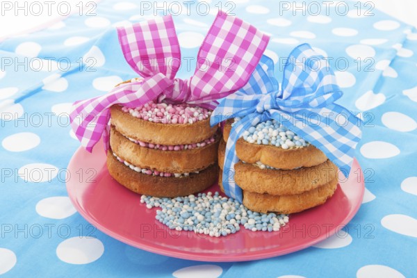 Dutch tradition with pink mice on biscuit while baby born isolated over white background