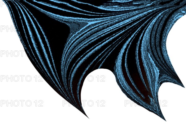 Trendy Design for print, package, decor. Geometric patterns