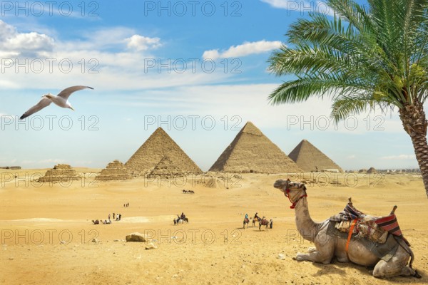 Camel and bird over ruined egyptian pyramids
