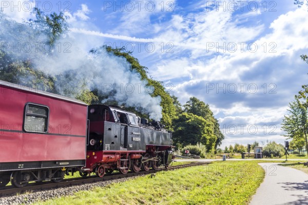 Molli train
