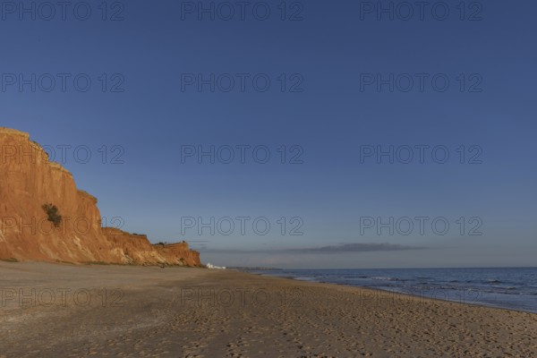 The golden sandy beach of Praia da Falésia with its characteristic orange-coloured cliffs, landscape shot in the evening at sunset on the cliffs in the Algarve, Portugal, Europe