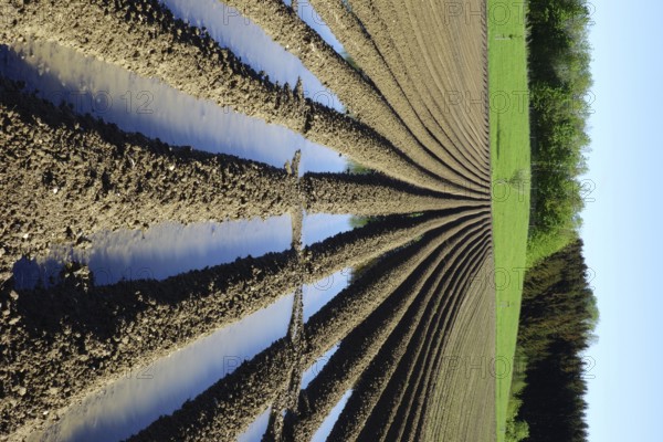 Field, flood