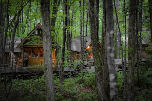Image of Lodge standing in the forest. Shooting Location: Hokkaido Furano
