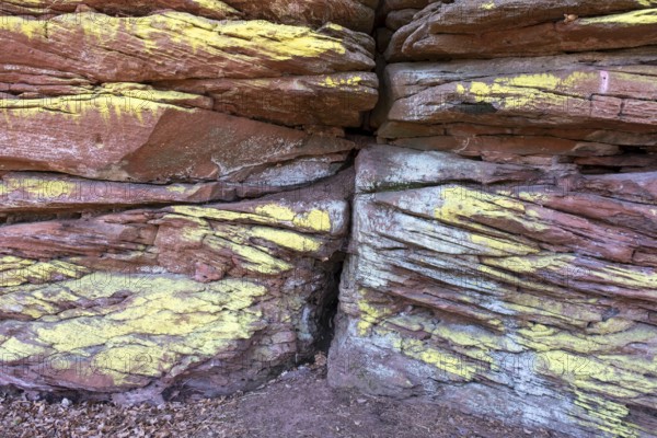 Detail of the Geiersteinfelsen, Geierstein, sandstone, Palatinate Forest, Bruchweiler-Bärenbach, Rhineland-Palatinate, Germany, Europe