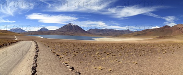 Laguna Miscanti in the Atacama Desert in Chile