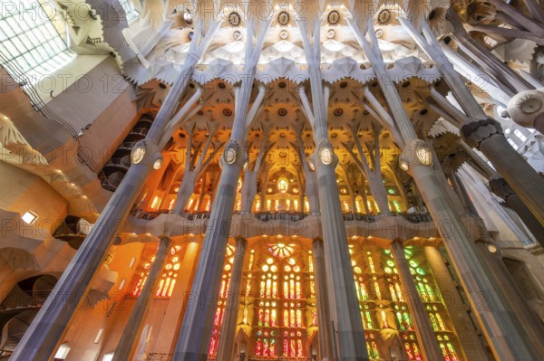 Barcelona, Spain, April 7, 2023: Interior of La Sagrada Familia cathedral, designed by Gaudi, it is being built since 1882. graphy, Europe
