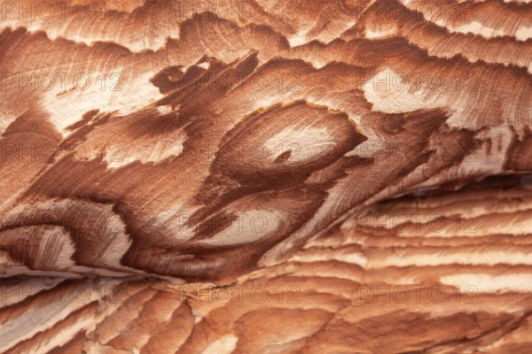 Multi-colored sandstone rock and mineral layers in ancient tombs of Petra, Jordan. Pattern, geological stone texture