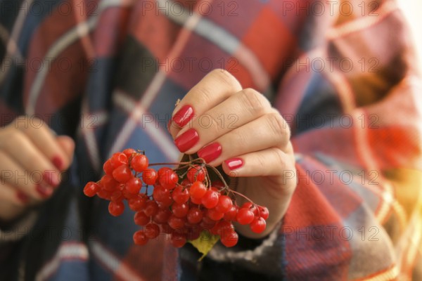 Stylish red female nails. Hands Holding Red Currants. Modern Beautiful manicure. Autumn winter nail design concept of beauty treatment. Gel nails. Skin care. Wellness. Trendy colors