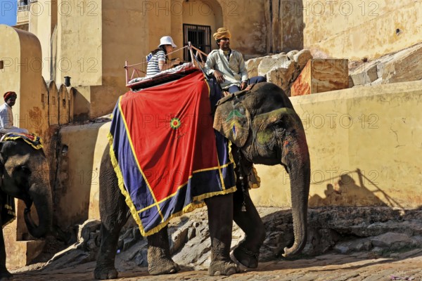 Fort Amber, Amber, near Jaipur, Rajasthan, North India, India, Asia, Elephants decorated with colourful blankets and traditionally dressed people, An elephant with riders in front of an old fort in India, illuminated by sunshine, Asia