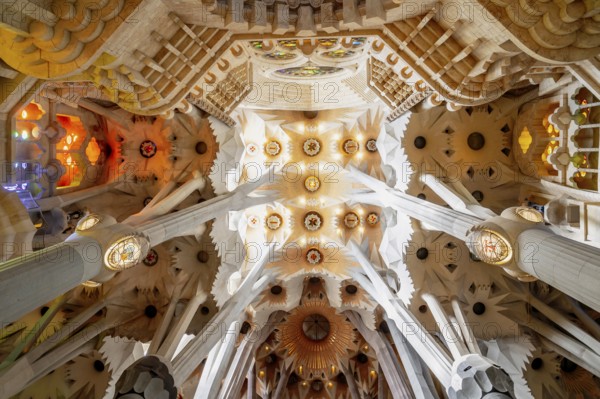 For the vault in the nave of La Sagrada Familia church, Antoni Gaudi drew inspiration for his mimetic architecture and natural building style from a forest with columns made of concrete, steel and stone (granite, basalt, porphyry), whose branches form rotational hyperboloids and hyperbolic paraboloids and thus support the weight of the vault, Barcelona, Catalunya, Spain, Europe