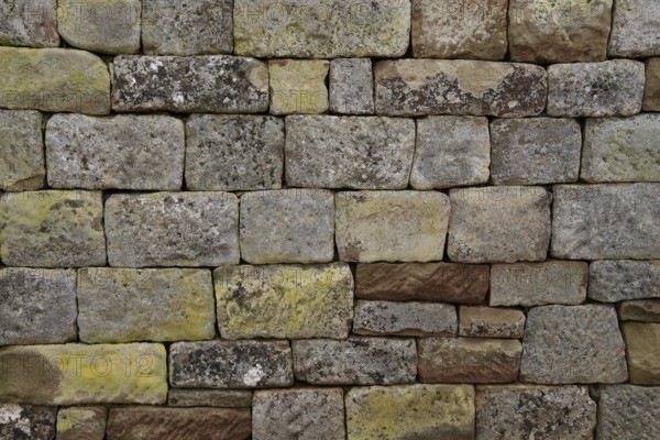 Dry stone wall, vineyard, museum vineyard, garden design, ecology, horticulture, Allmende Stetten, Yburg, Remstal, Rems, Kernen, Stetten, masonry, reptiles, insects, biodiversity, Germany, Europe